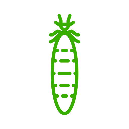 wood termite